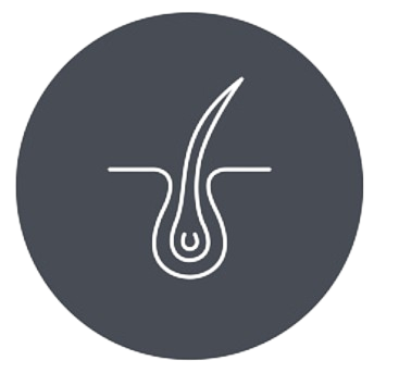 Trichology Icon
